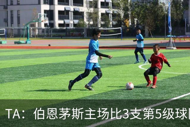 TA：伯恩茅斯主场比3支第5级球队还小，伊劳拉如今的压力远超从前